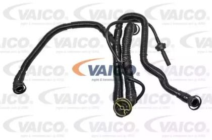 Патрубок вентиляции картера Vaico V10-3505.