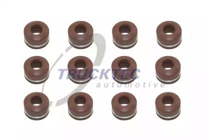 Комплект маслосъемных колпачков Trucktec Automotive 02.43.116.