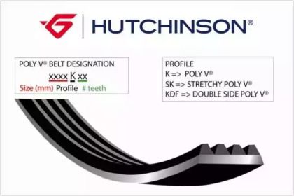 Полікліновий ремінь на Peugeot 4007  Hutchinson 2565 K 6.