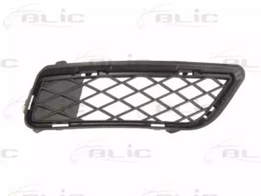 Решітка бампера на BMW X3  Blic 6502-07-0093916P.