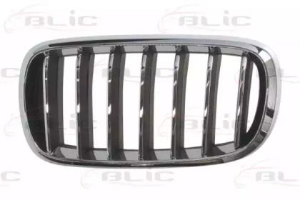 Решітка радіатора на BMW X6  Blic 6502-07-00969933P.