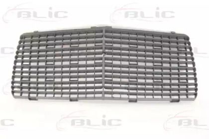 Решетка радиатора на Mercedes-Benz E320 Blic 6502-07-3526996P.