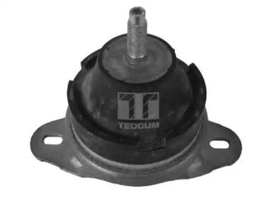 Подушка двигуна Tedgum 00514176.