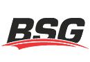 BSG - производитель деталей для авто.
