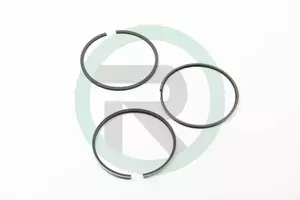 Комплект поршневих кілець Hastings Piston Ring 2D7254 фотографія 0.