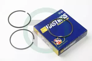Комплект поршневих кілець Hastings Piston Ring 2D7255 фотографія 1.