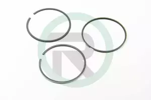 Комплект поршневых колец Hastings Piston Ring 2D7365 фотография 0.