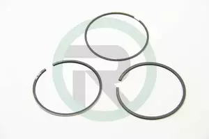 Комплект поршневых колец Hastings Piston Ring 2D7451 фотография 0.