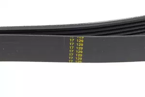 Полікліновий ремінь Hutchinson 1488 K 6 фотографія 2.