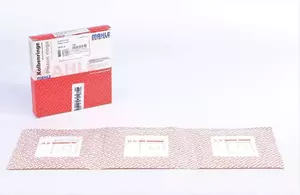 Комплект поршневих кілець на Мерседес Спрінтер  Mahle 001 01 V2.