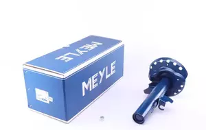 Передня права стійка амортизатора на Ford S-Max  Meyle 726 623 0038.