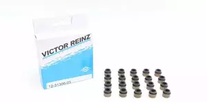 Комплект маслосъемных колпачков на Seat Leon  Victor Reinz 12-31306-03.